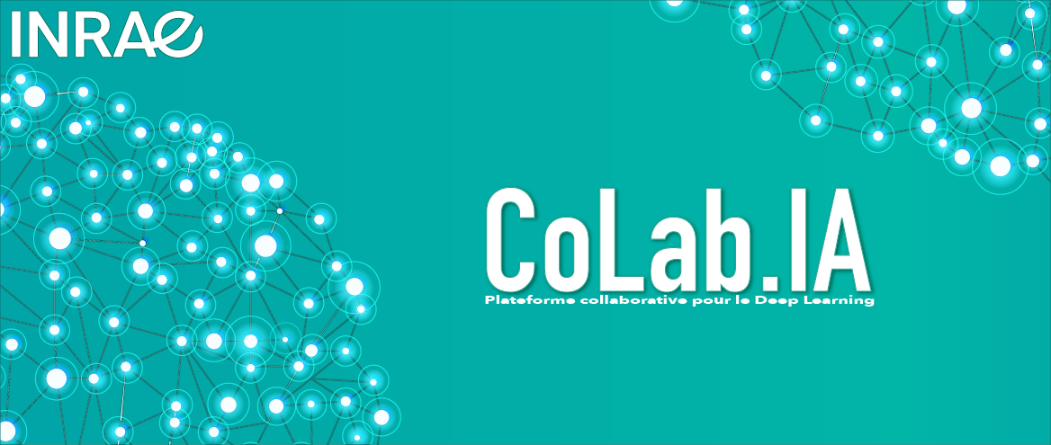 Plateforme CoLabIA